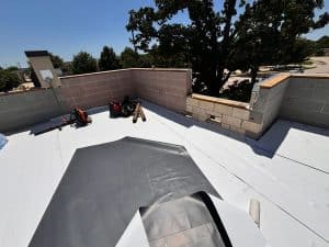 thumbnail_IMG_4727
